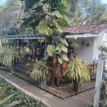Lovers Green Villa Ματάρα Εξωτερικό φωτογραφία